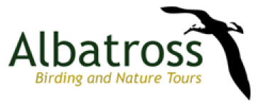 Logo-Footer-Albatross
