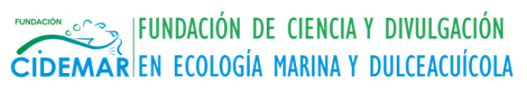 Imagen3