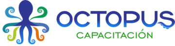 OCTOPUS - Logo frontal 100x25mm
